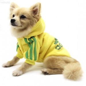 Adidog Designer Pet Hoodie Yellow & Green M